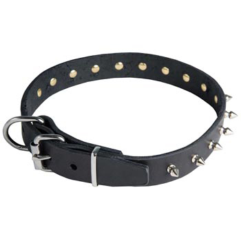 Mastiff Leather Collar with Spikes