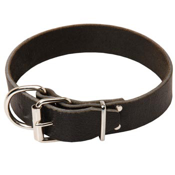 Mastiff Leather Collar