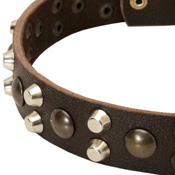 Leather Mastiff Collar with Hand Set Studs