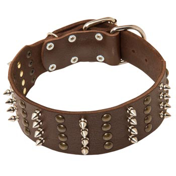 Leather Collar for Mastiff Walking in Style 