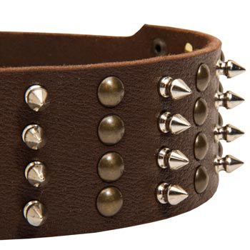Mastiff Leather Collar with Rust-proof Fittings