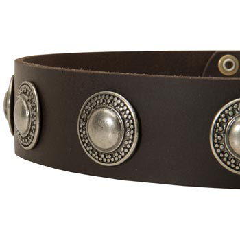 Leather Dog Collar with Conchos for   Mastiff