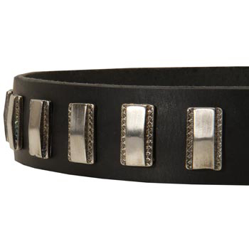 Stylish Leather Collar with Vintage Plates for Mastiff