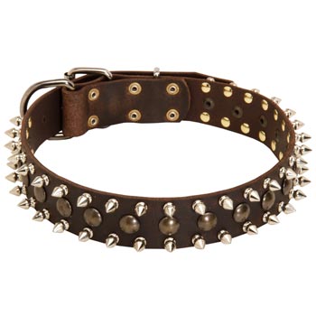 Mastiff Leather Collar with Stylish Decoration