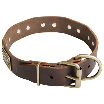 War-Style Leather Collar for Mastiff