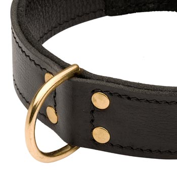 Brass D-ring Stitched to Leather Mastiff Collar