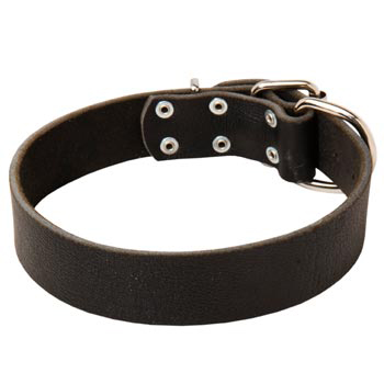 Unbelievable Mastiff Strict Style Leather Dog  Collar