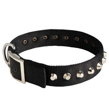 Nylon Buckle Dog Collar Wide with Studs for   Mastiff