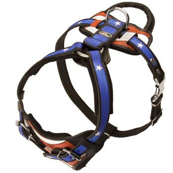 Leather SMastiff Harness with Handle Stitched to Back Plate