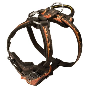 Leather Dog Harness with Handle for Mastiff Training