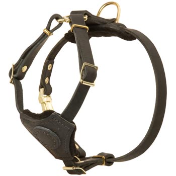 Light Weight Leather Puppy Harness for Mastiff