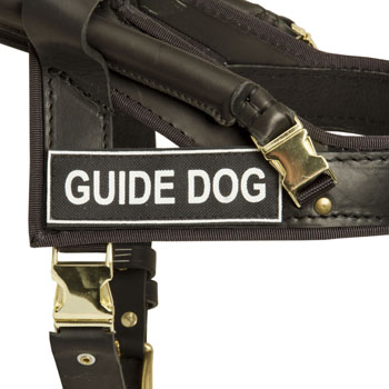 Mastiff Leather Guid Harness with ID Patches