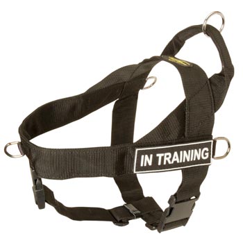 Mastiff Nylon Harness with ID Patches