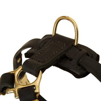 D-ring on Leather Mastiff Harness for Puppy Training