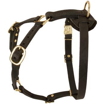 Tracking Leather Dog Harness for Mastiff