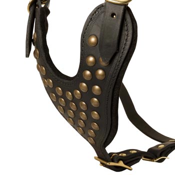 Studded Black Leather CHest Plate for Mastiff Comfort