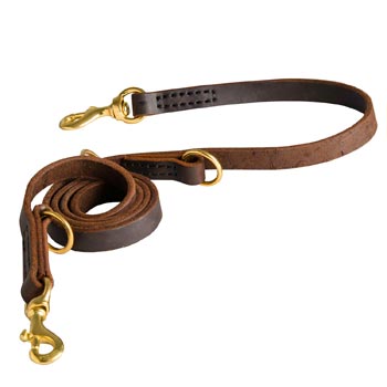 Strong Leather Leash for Mastiff Successful Training