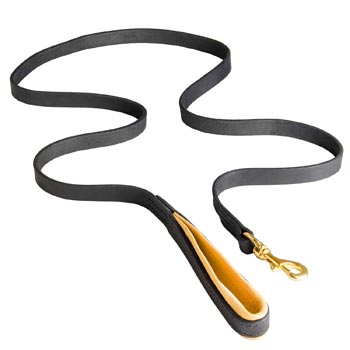 Padded Leather Leash for Mastiff Comfortable Walking