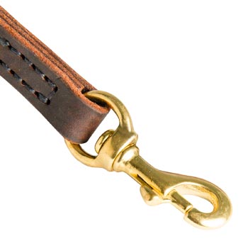 Mastiff Leather Leash with Brass Hardware