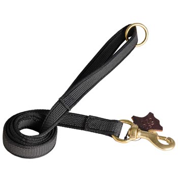 Nylon Leash for Mastiff Training will Help to Achieve Great Results