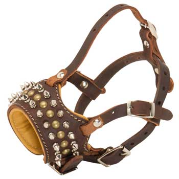 Mastiff Muzzle Leather Browne with Spikes and Studs