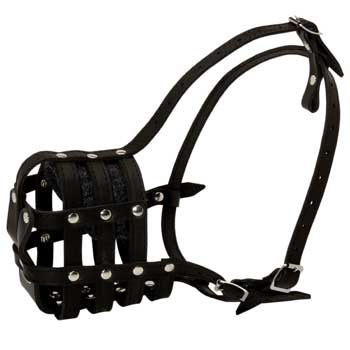 Mastiff Muzzle Leather Cage for Daily Walking