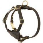 Strong Leather Mastiff Harness With Small Chest Plate