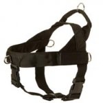 Mastiff Harness Nylon with Patches