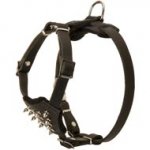 Durable Spiked Leather Puppy Mastiff Harness