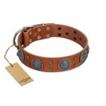 "Blue Sands" FDT Artisan Tan Leather Mastiff Collar with Silver-like Studs and Round Conchos with Stones