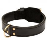 Training 2 Ply Leather Mastiff Collar