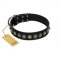 "Black Eagle" Handcrafted FDT Artisan Black Leather Mastiff Collar with Silver-Like Adornments