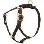 Y-Shaped Leather Mastiff Harness for Tracking and Training