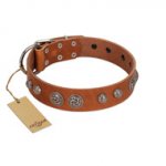 "Era Infinitum" FDT Artisan Tan Leather Mastiff Collar Adorned with Chrome-plated Circles