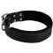 Mastiff Durable Padded Leather Collar 40 mm
