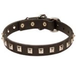 Mastiff Leather Collar Caterpillar Design