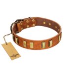 "Olive Slice" FDT Artisan Tan Leather Mastiff Collar with Engraved and Smooth Plates