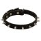 Mastiff Leather Collar Spiked 3/4 Inch