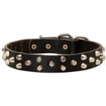 Fancy Design Leather Mastiff Collar with Nickel Pyramids