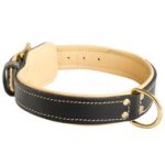 Padded Leather Mastiff Collar