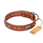 "Sparkling Skull" FDT Artisan Tan Leather Mastiff Collar with Old Silver Look Plates and Skulls