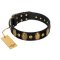 "Venerable Pawty" FDT Artisan Black Leather Mastiff Collar with Old Bronze-like Ovals and Studs