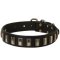 Mastiff Leather Collar with Shiny Plates