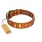 "Egyptian Script" FDT Artisan Tan Leather Mastiff Collar with Plates and Small Studs