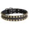 2 Rows Brass Studded Leather Mastiff Collar for Walking and Training