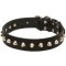 Gorgeous Wide Leather Mastiff Collar - Fashion Exclusive Design