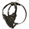Protection Leather Mastiff Harness for Attack / Agitation Dog Training