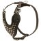 Adjustable Leather Mastiff Harness Studded for Fashion Walking