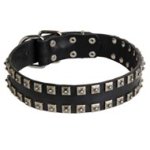 New Leather Mastiff Collar - Fashion Exclusive Design - "Caterpillar"