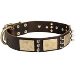 Designer War-Style Leather Mastiff Collar with Spikes and Plates